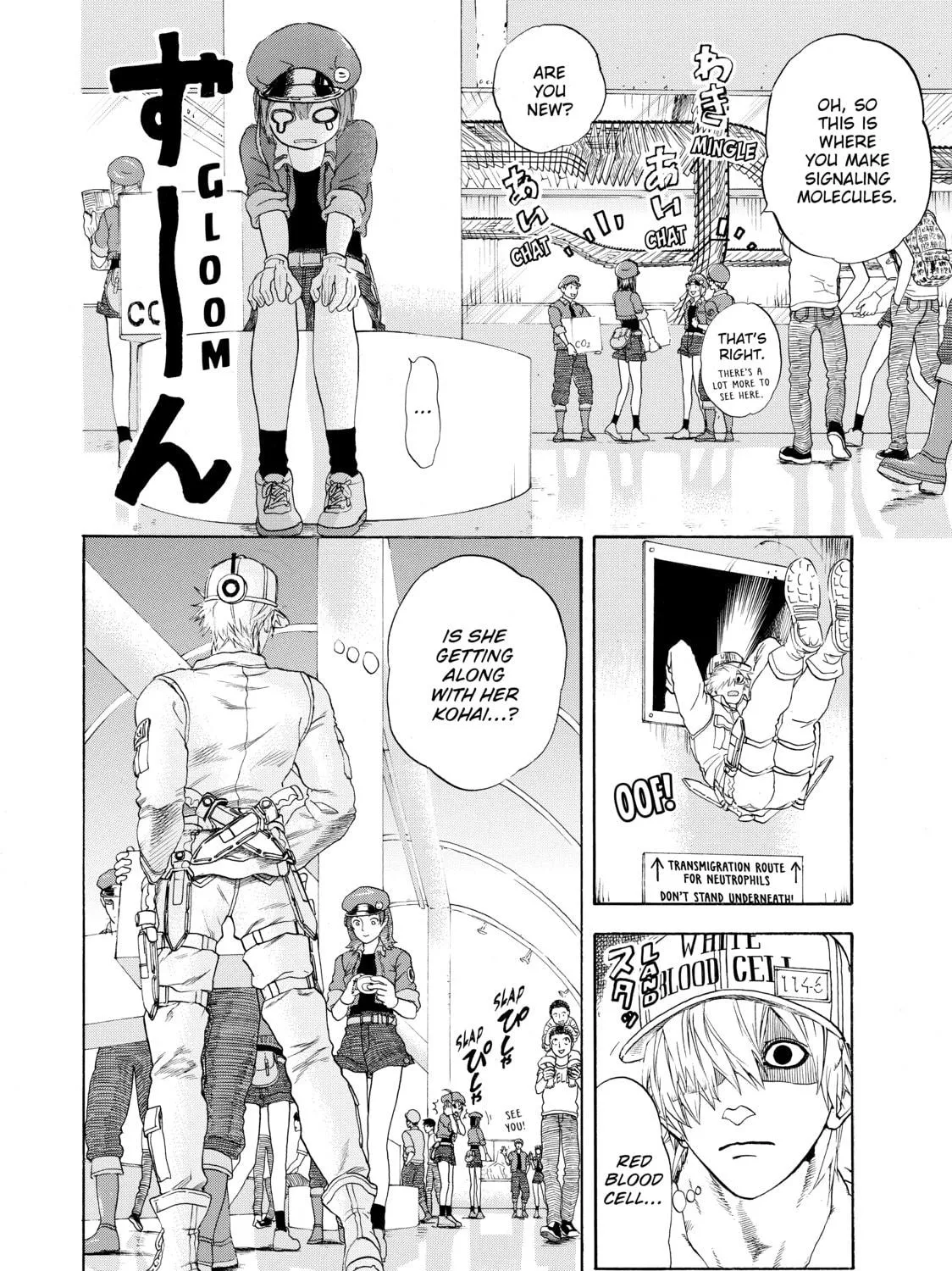 Read Cells at Work! chapter 17 image 22 on Lezhin