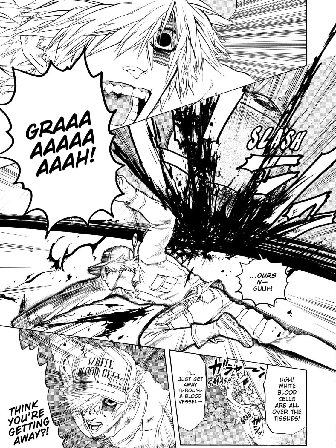 Read Cells at Work! chapter 17 image 48 on Lezhin