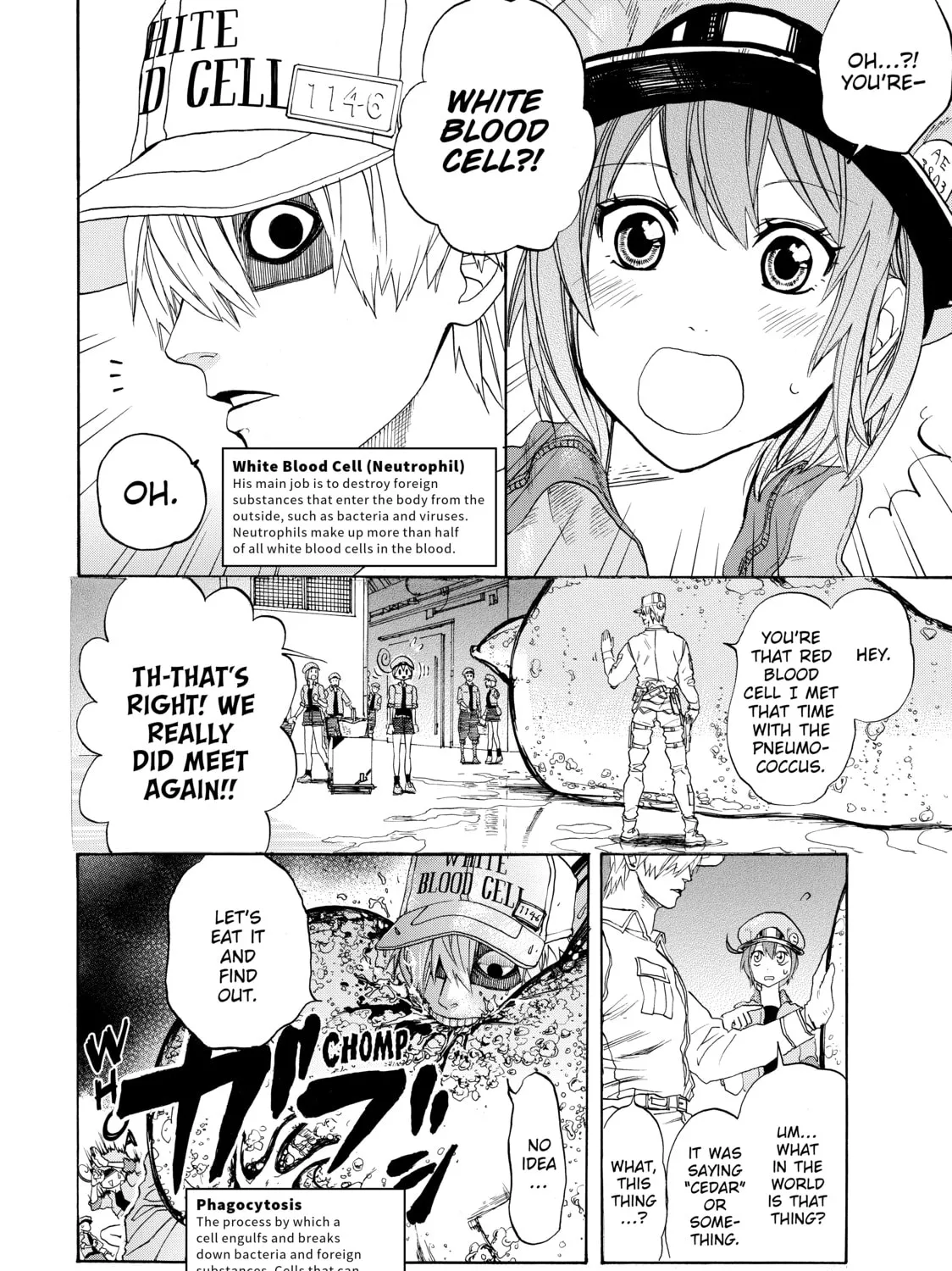 Read Cells at Work! chapter 2 image 14 on Lezhin