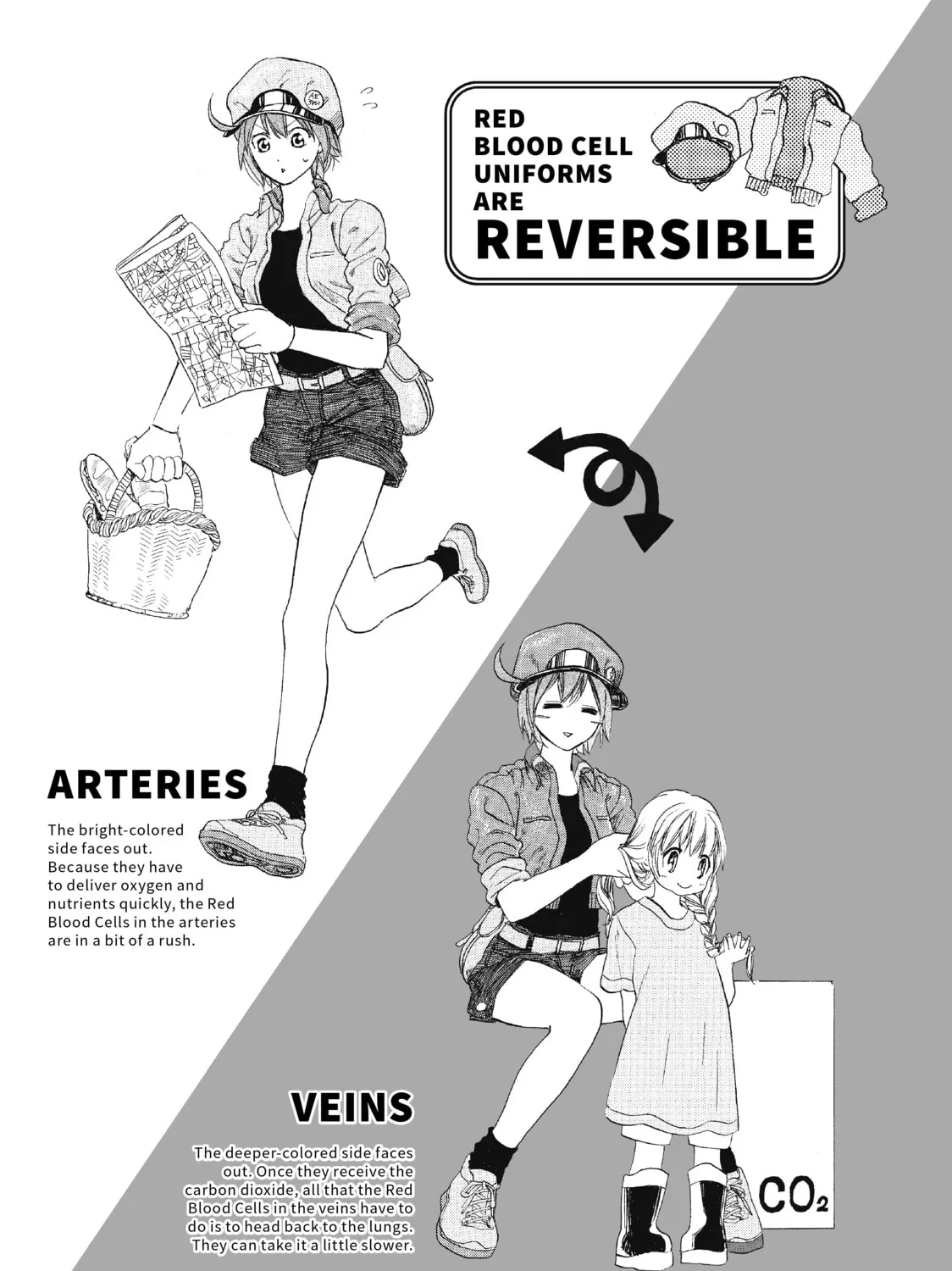 Read Cells at Work! chapter 2 image 74 on Lezhin