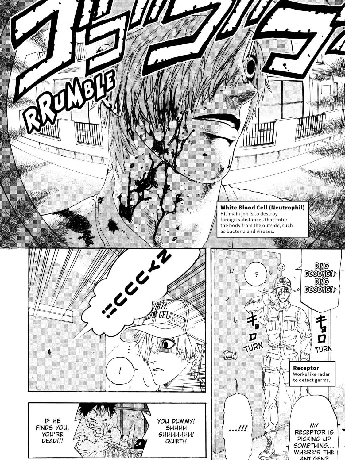 Read Cells at Work! chapter 20 image 18 on Lezhin