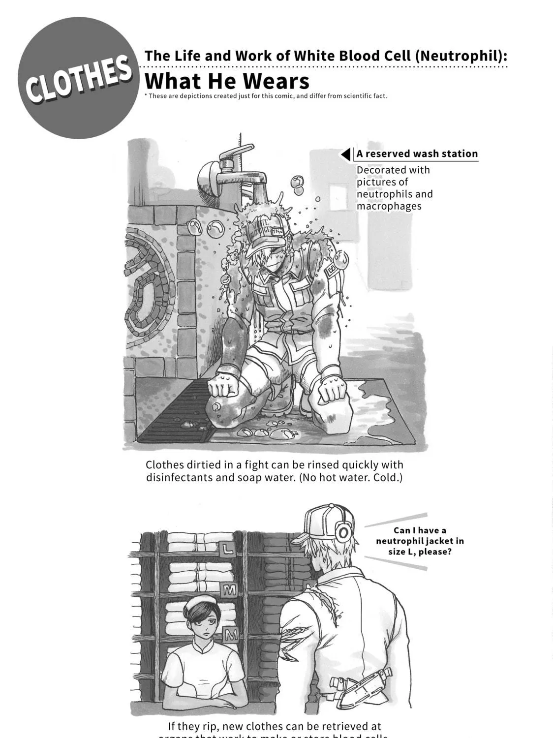 Read Cells at Work! chapter 20 image 78 on Lezhin