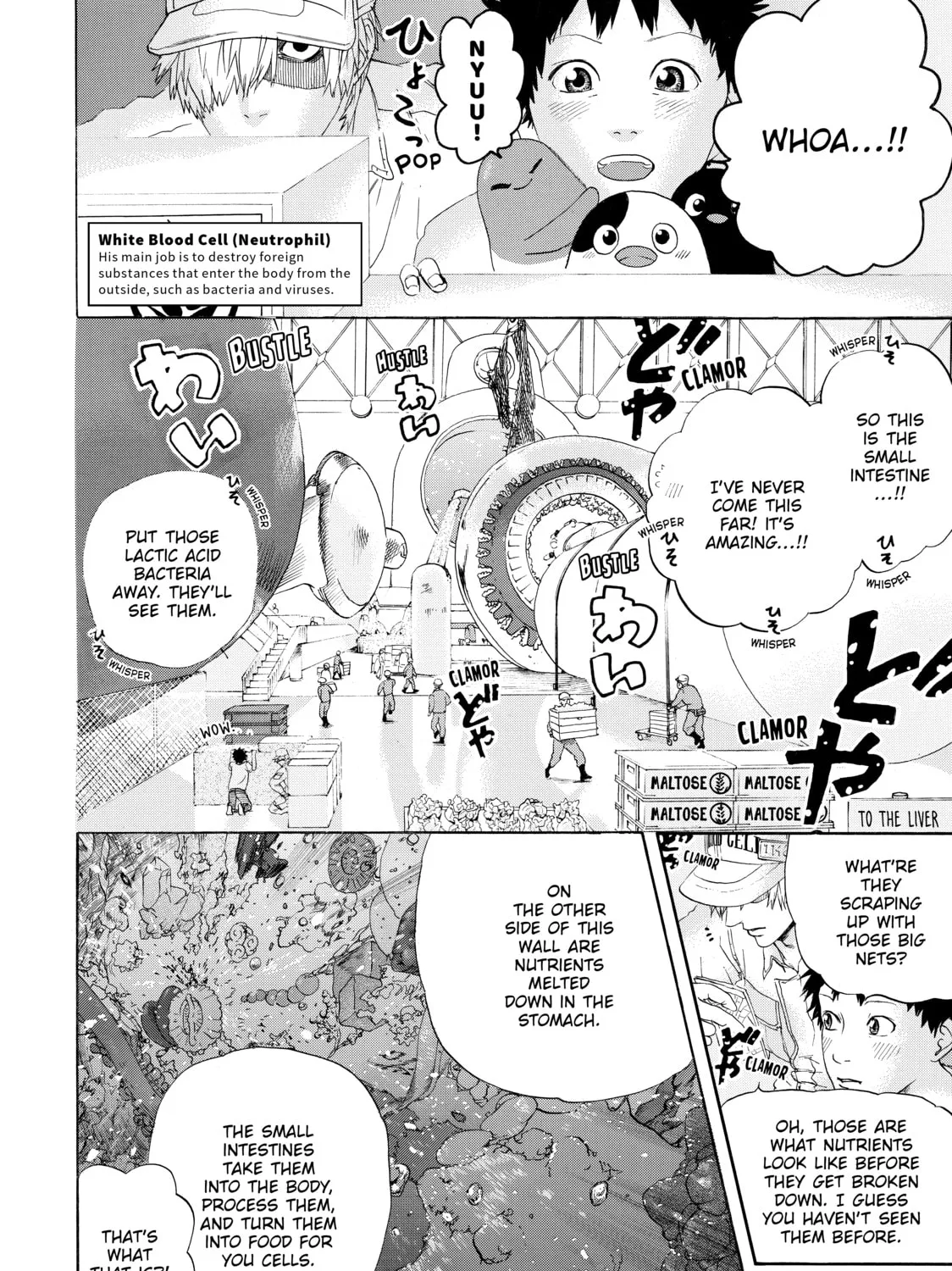Read Cells at Work! chapter 21 image 2 on Lezhin