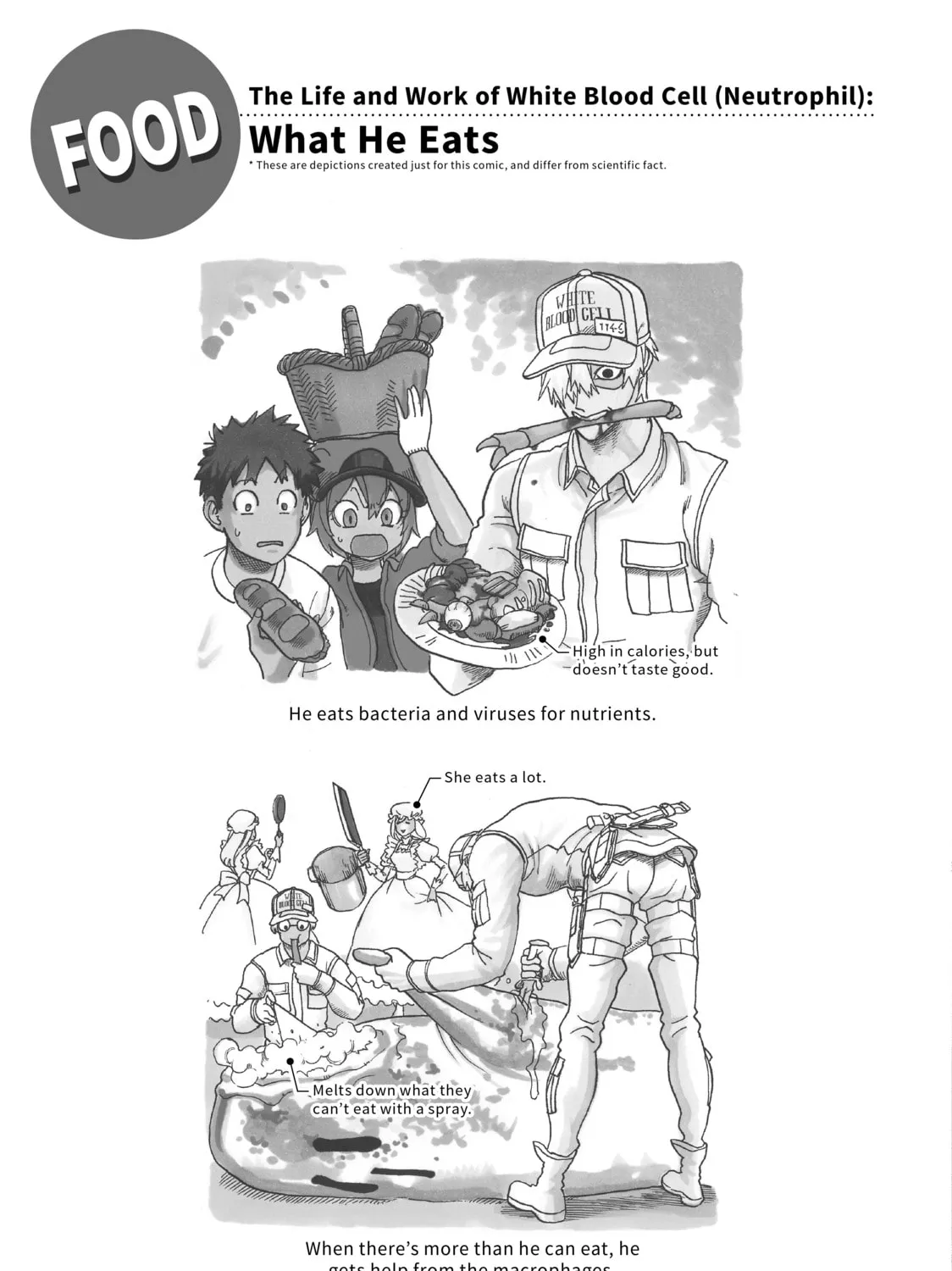 Read Cells at Work! chapter 21 image 56 on Lezhin