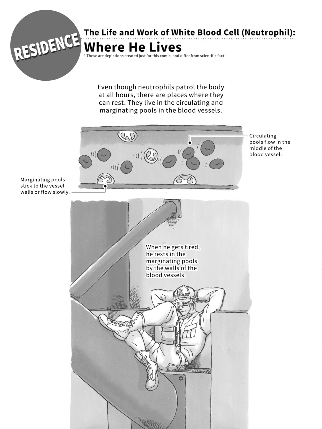 Read Cells at Work! chapter 22 image 60 on Lezhin