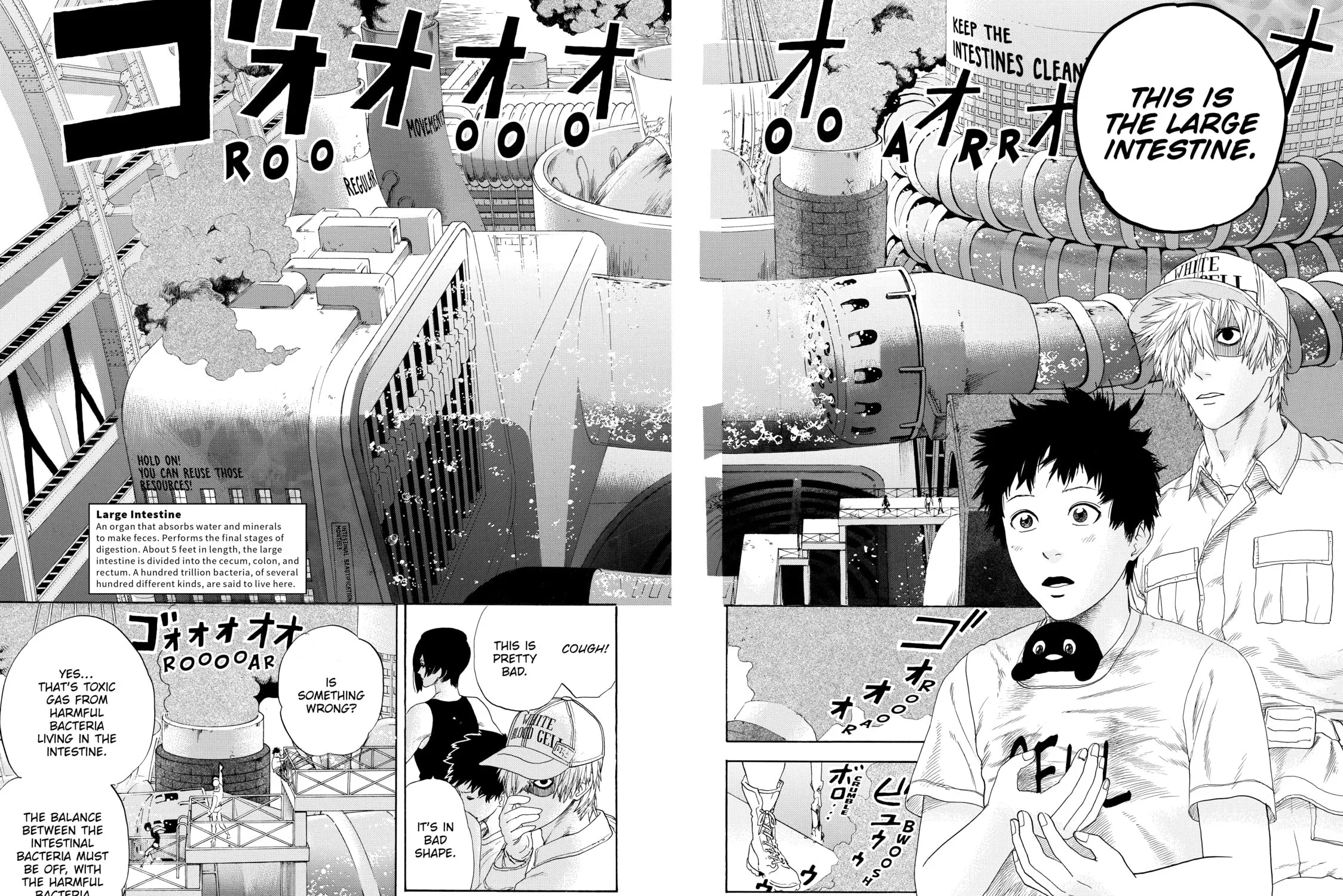 Read Cells at Work! chapter 23 image 2 on Lezhin