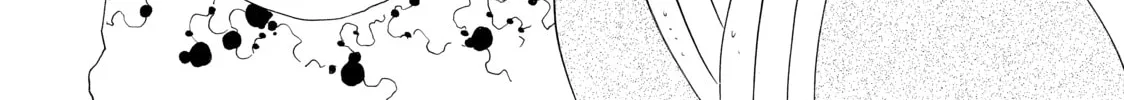 Read Cells at Work! chapter 23 image 33 on Lezhin