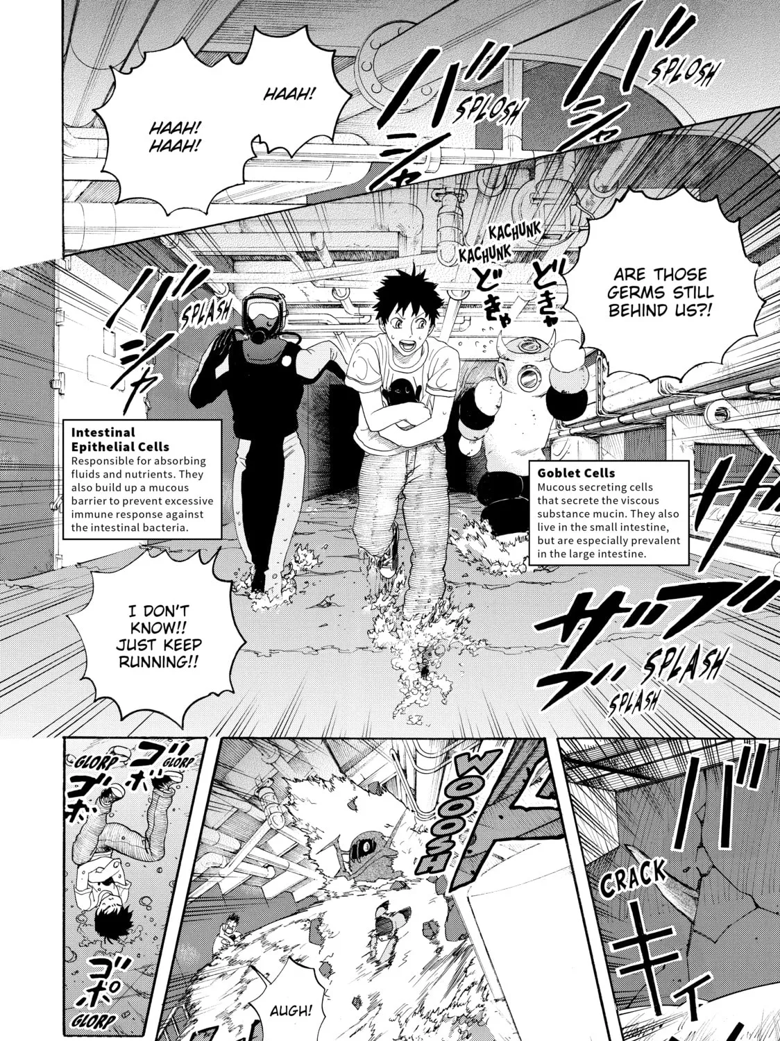 Read Cells at Work! chapter 24 image 30 on Lezhin