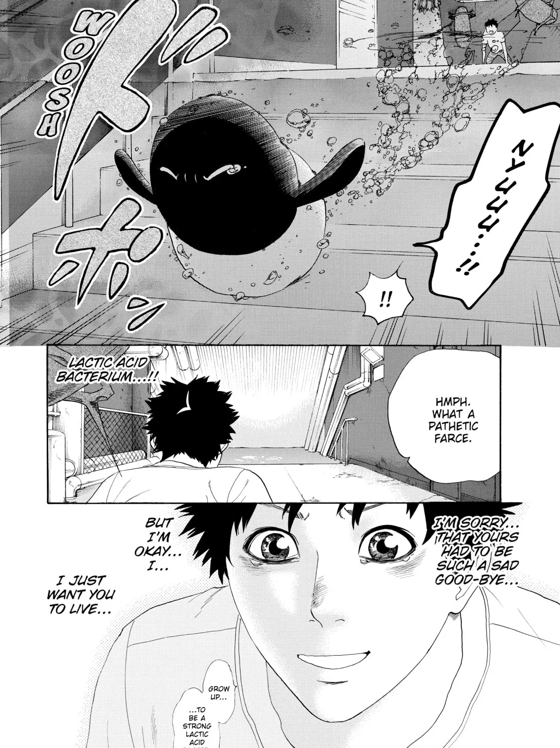 Read Cells at Work! chapter 24 image 42 on Lezhin