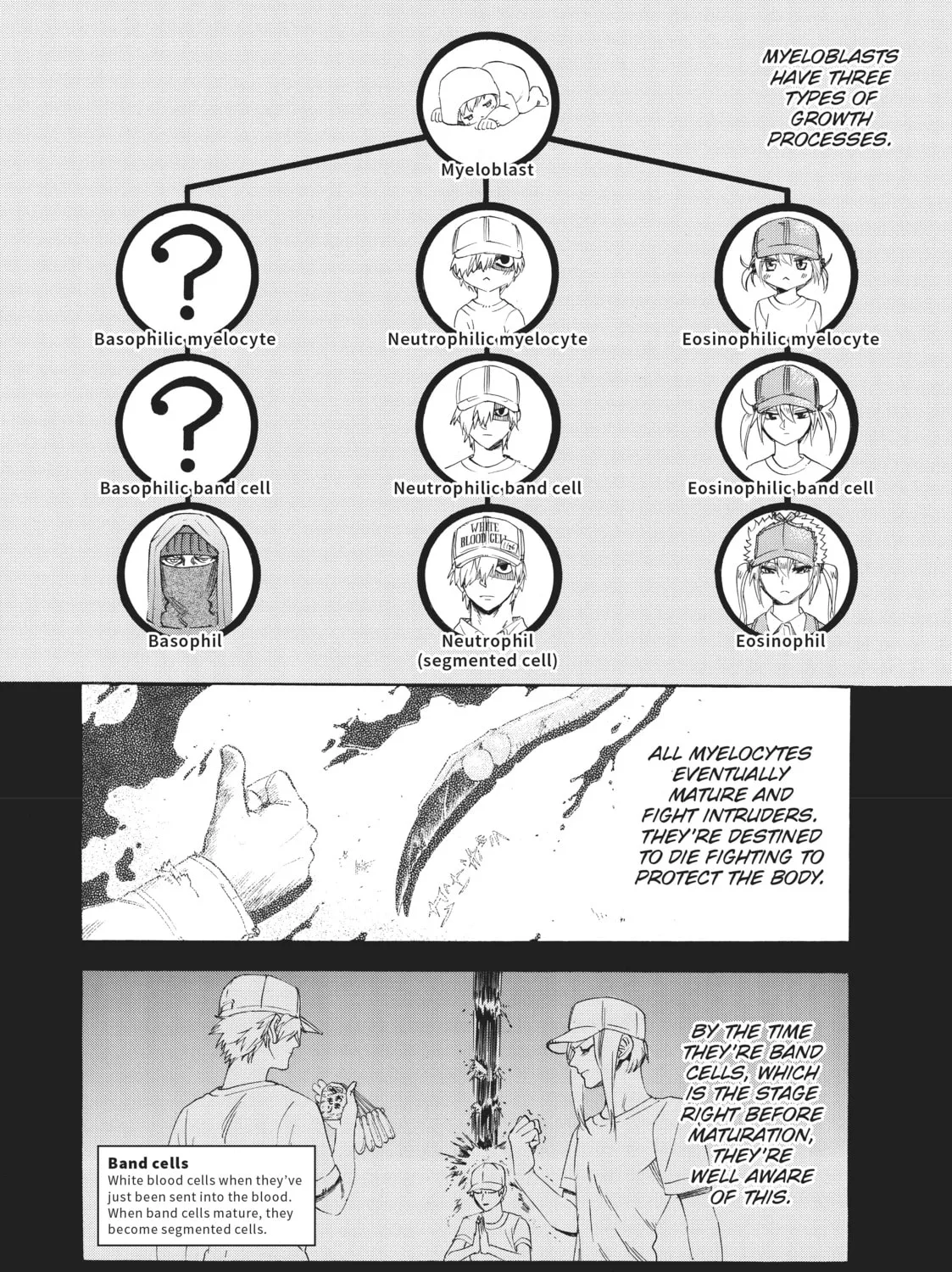 Read Cells at Work! chapter 27 image 6 on Lezhin