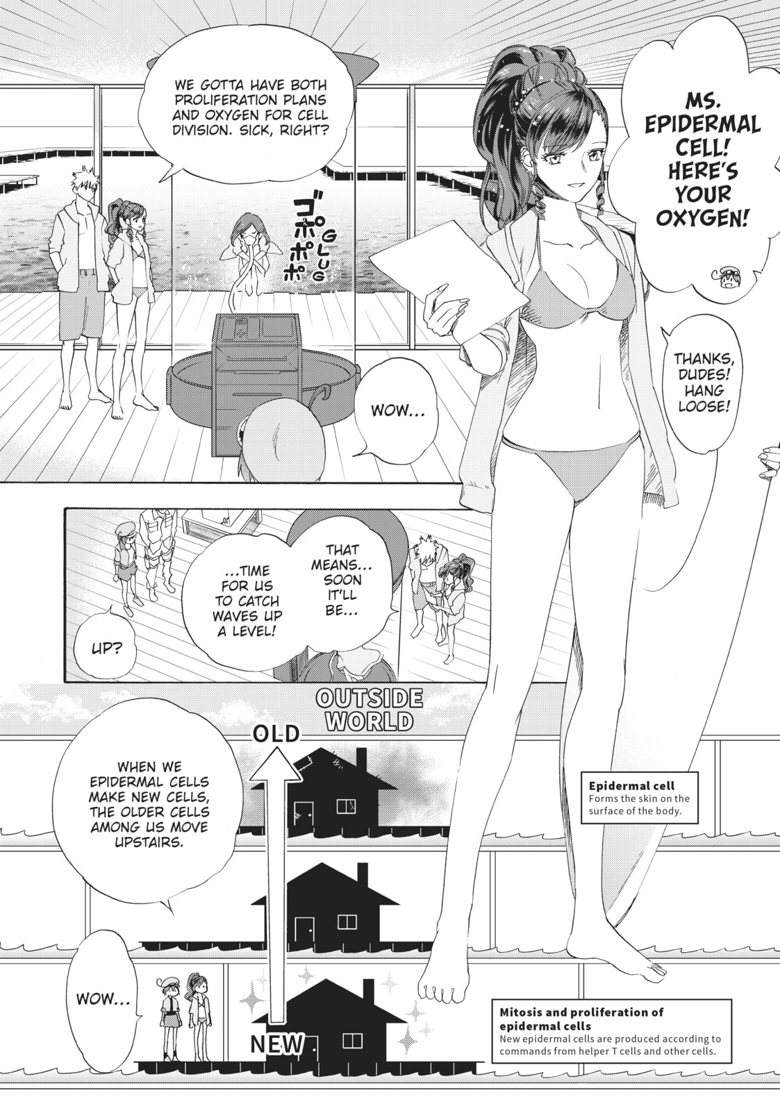 Read Cells at Work! chapter 28.1 image 5 on Lezhin