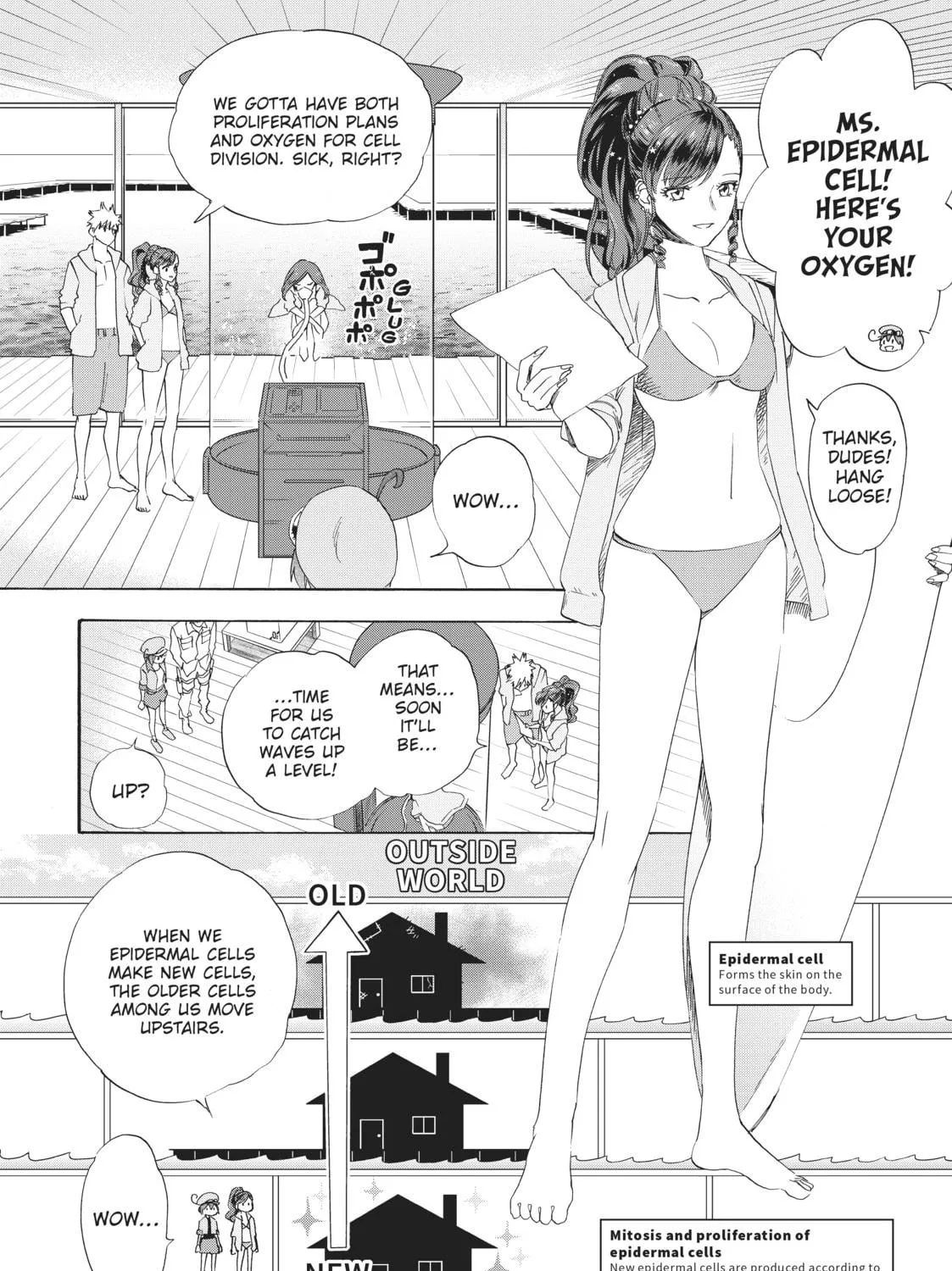 Read Cells at Work! chapter 28.5 image 10 on Lezhin