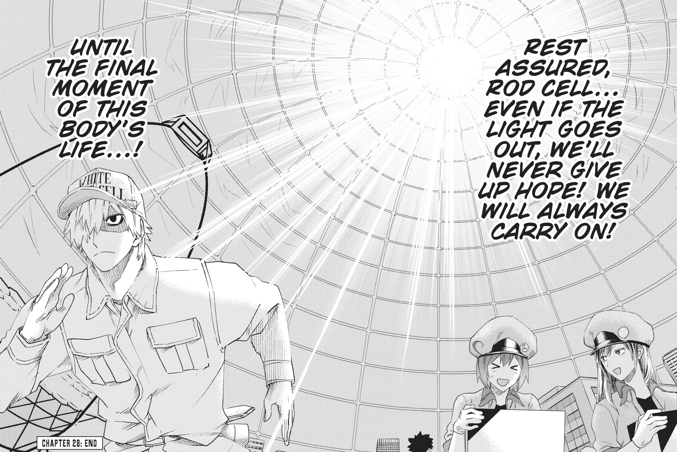 Read Cells at Work! chapter 28 image 92 on Lezhin