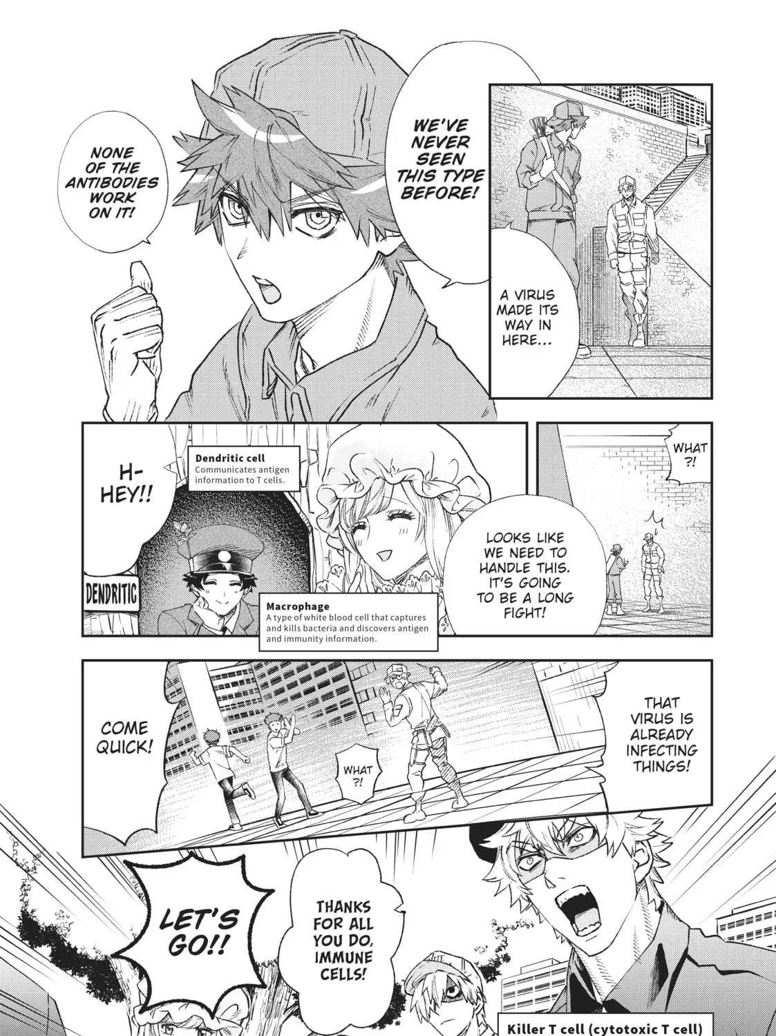Read Cells at Work! chapter 29 image 14 on Lezhin