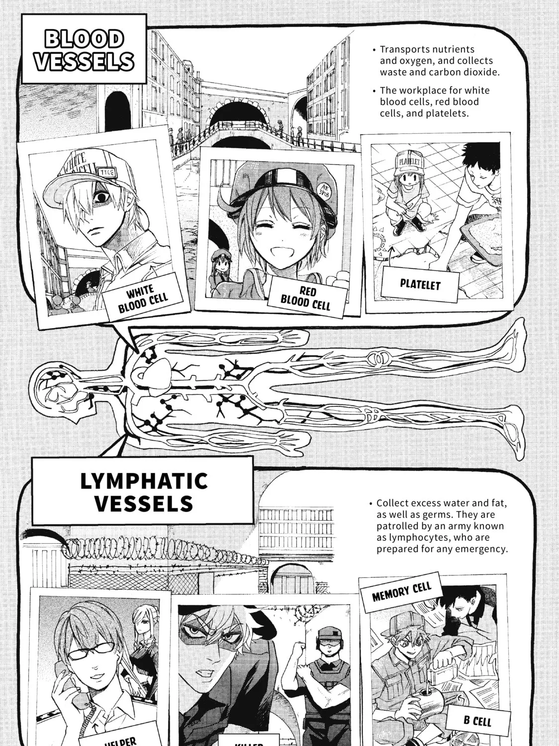 Read Cells at Work! chapter 3 image 60 on Lezhin