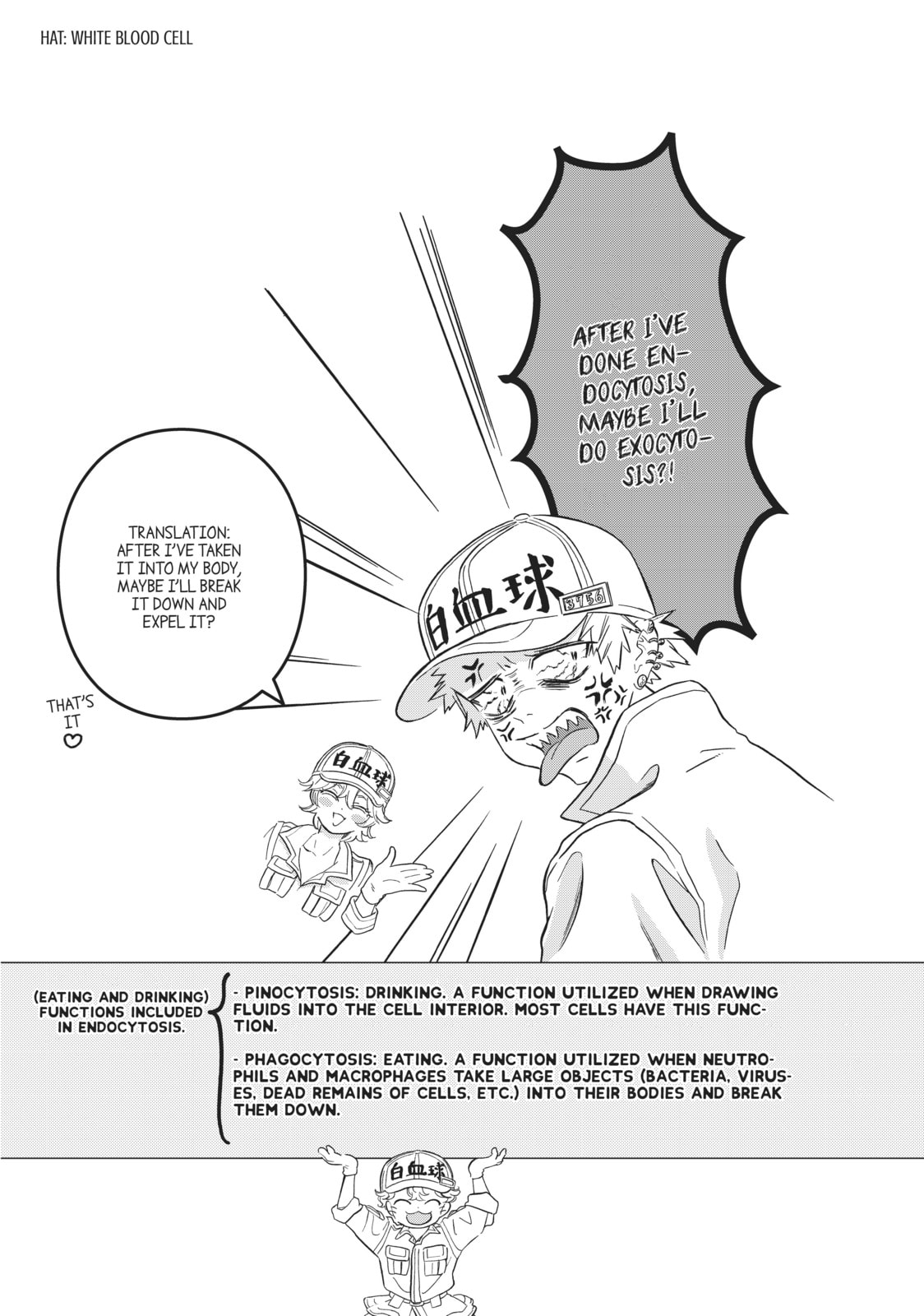 Read Cells at Work! chapter 33 image 15 on Lezhin