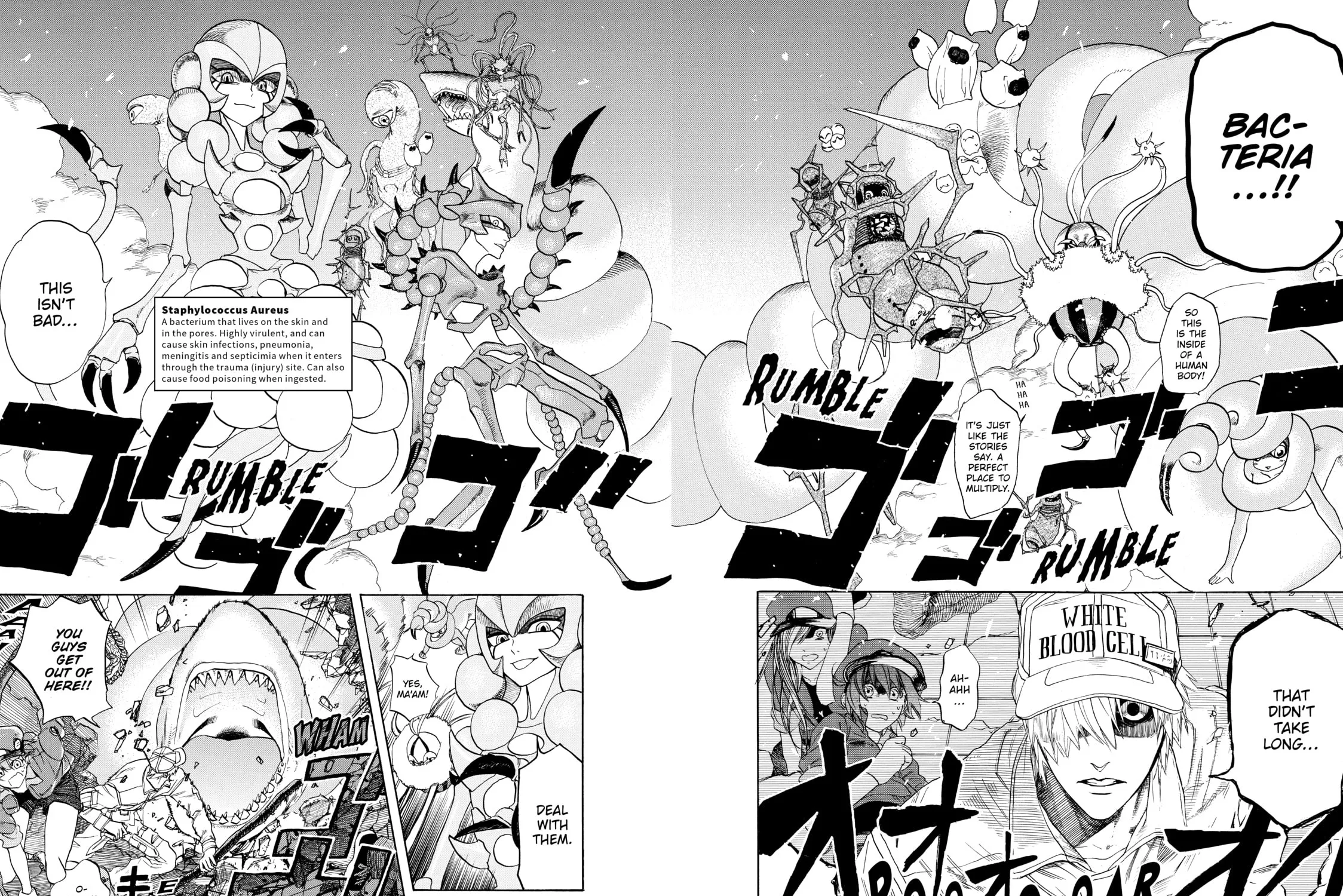 Read Cells at Work! chapter 4 image 16 on Lezhin