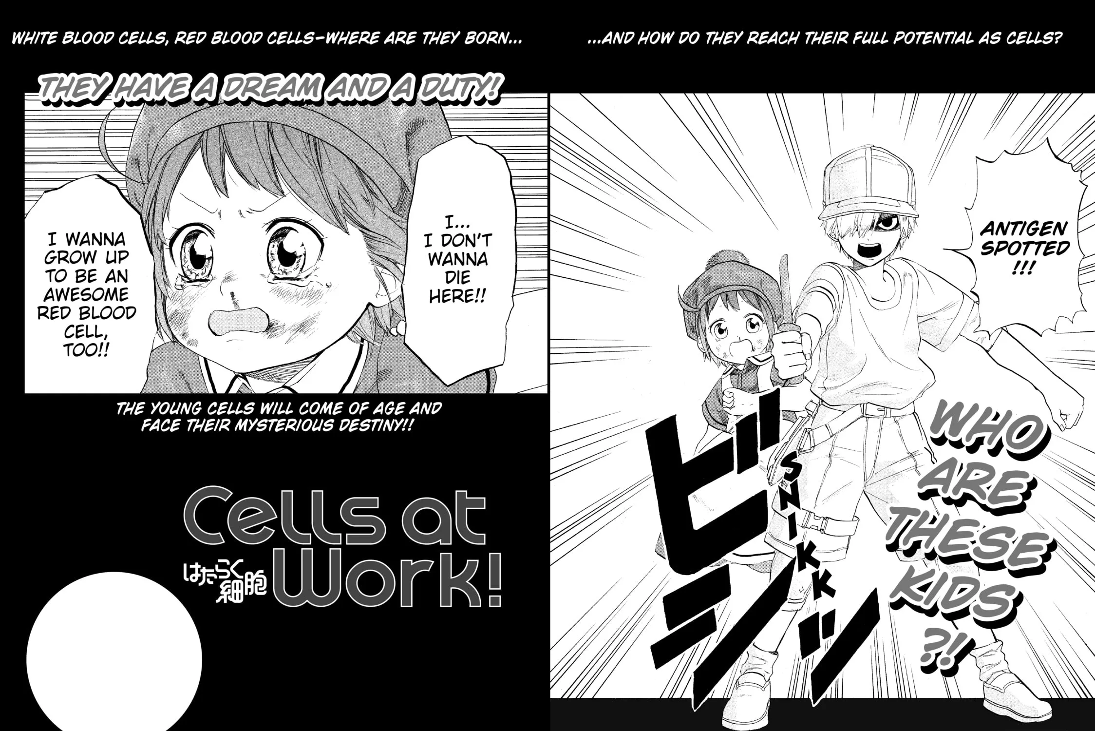 Read Cells at Work! chapter 4 image 70 on Lezhin