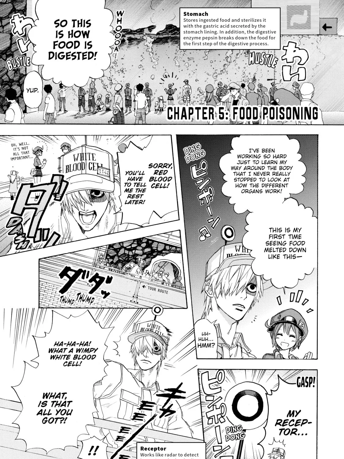 Read Cells at Work! chapter 5 image 2 on Lezhin