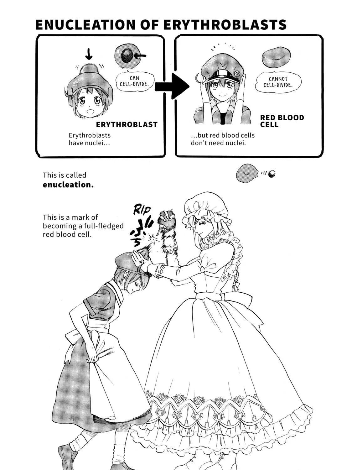 Read Cells at Work! chapter 7 image 58 on Lezhin