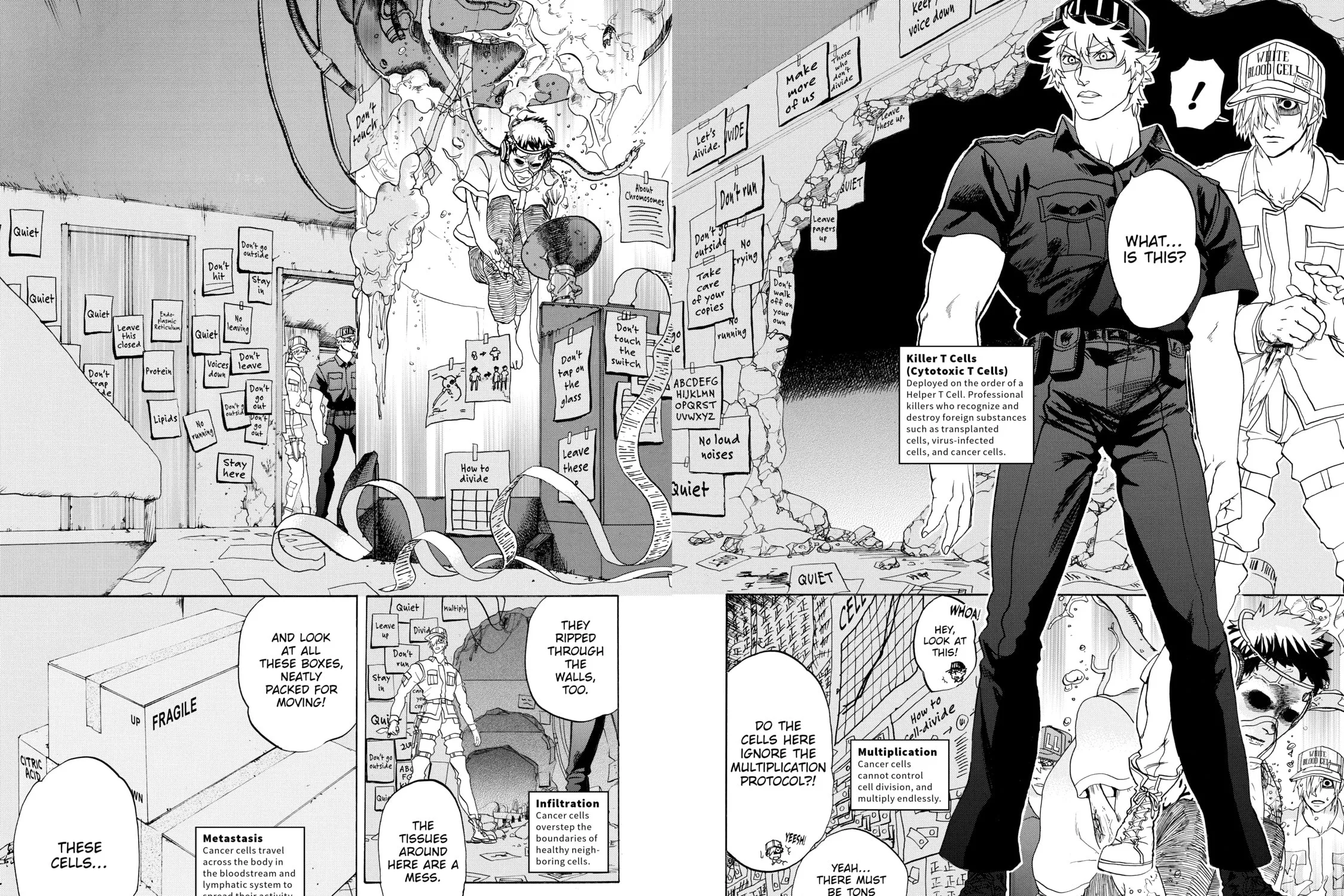 Read Cells at Work! chapter 9 image 10 on Lezhin
