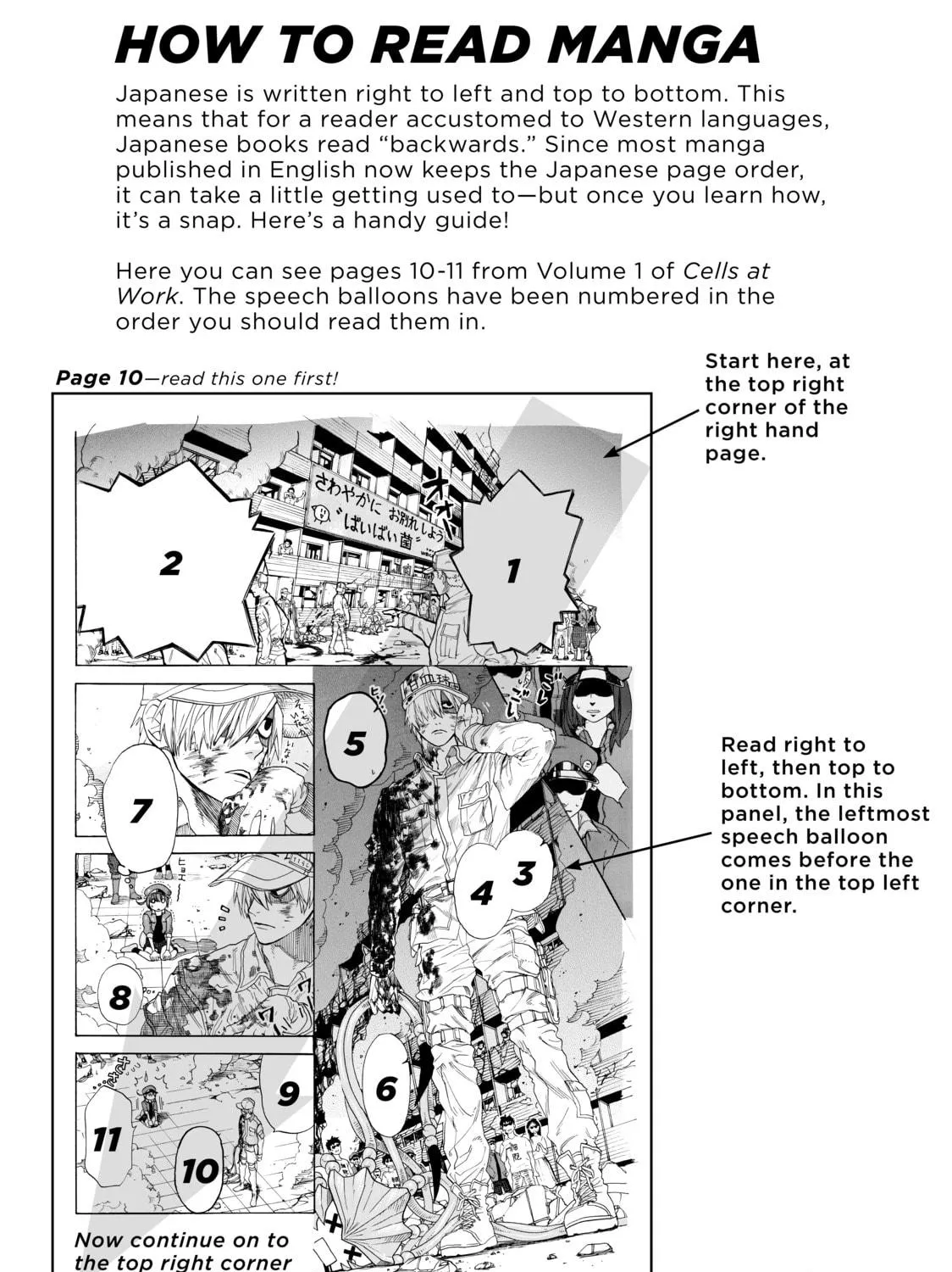 Read Cells at Work! chapter 9 image 106 on Lezhin