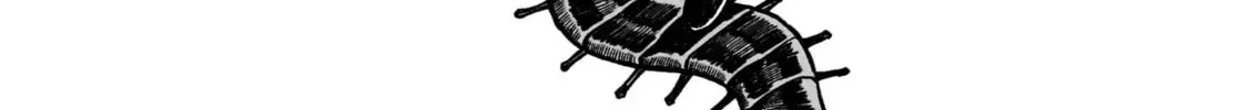 Read Centuria chapter 6.1 image 11 on Lezhin