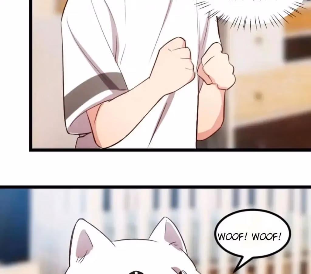 Read CEO