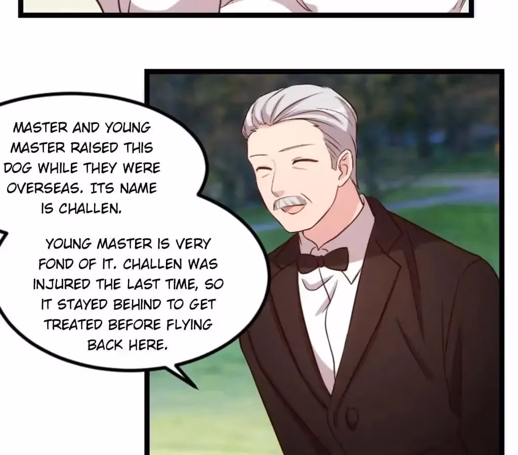 Read CEO