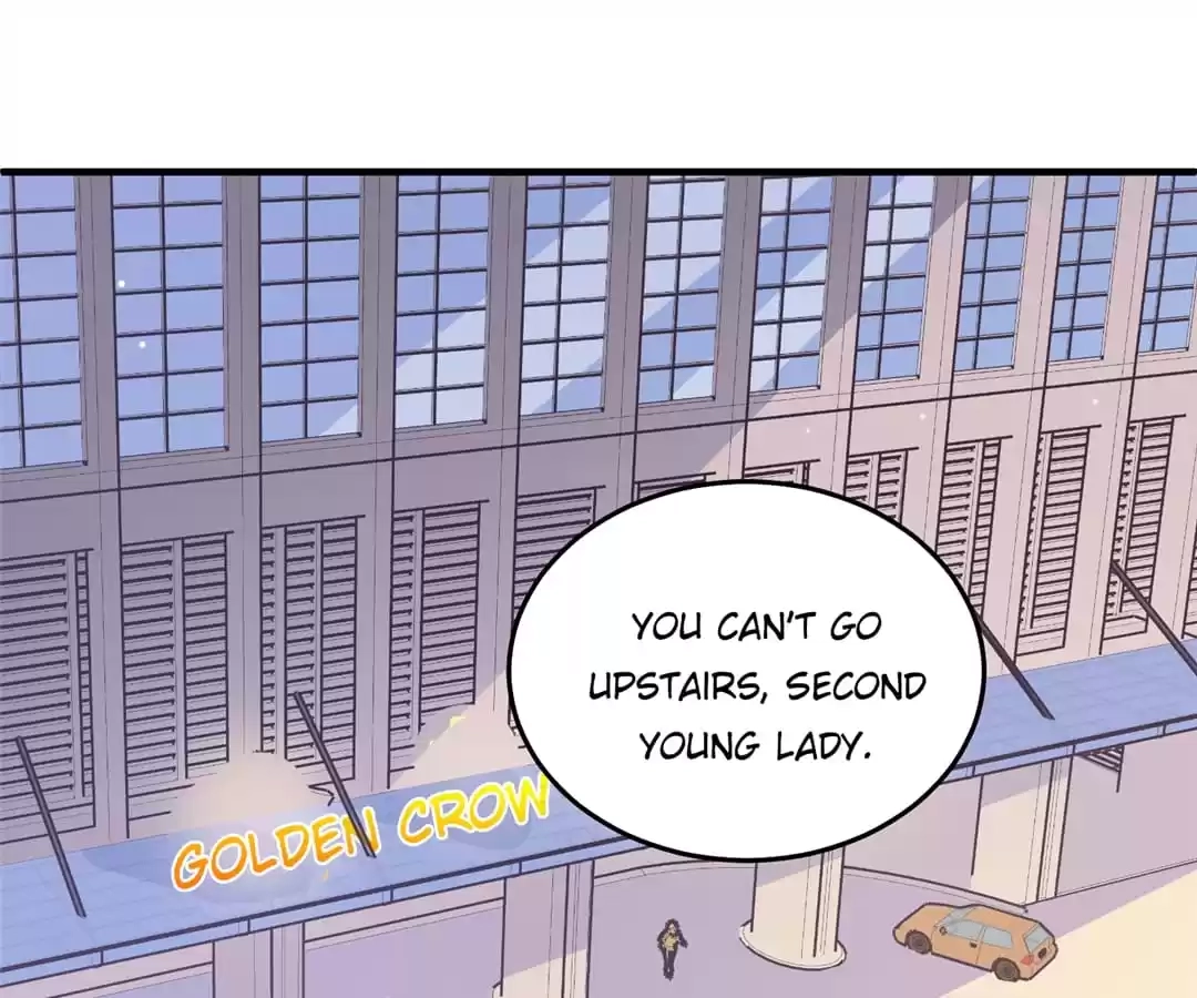 Read CEO