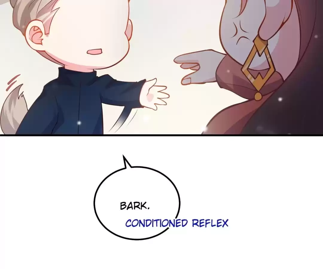 Read CEO