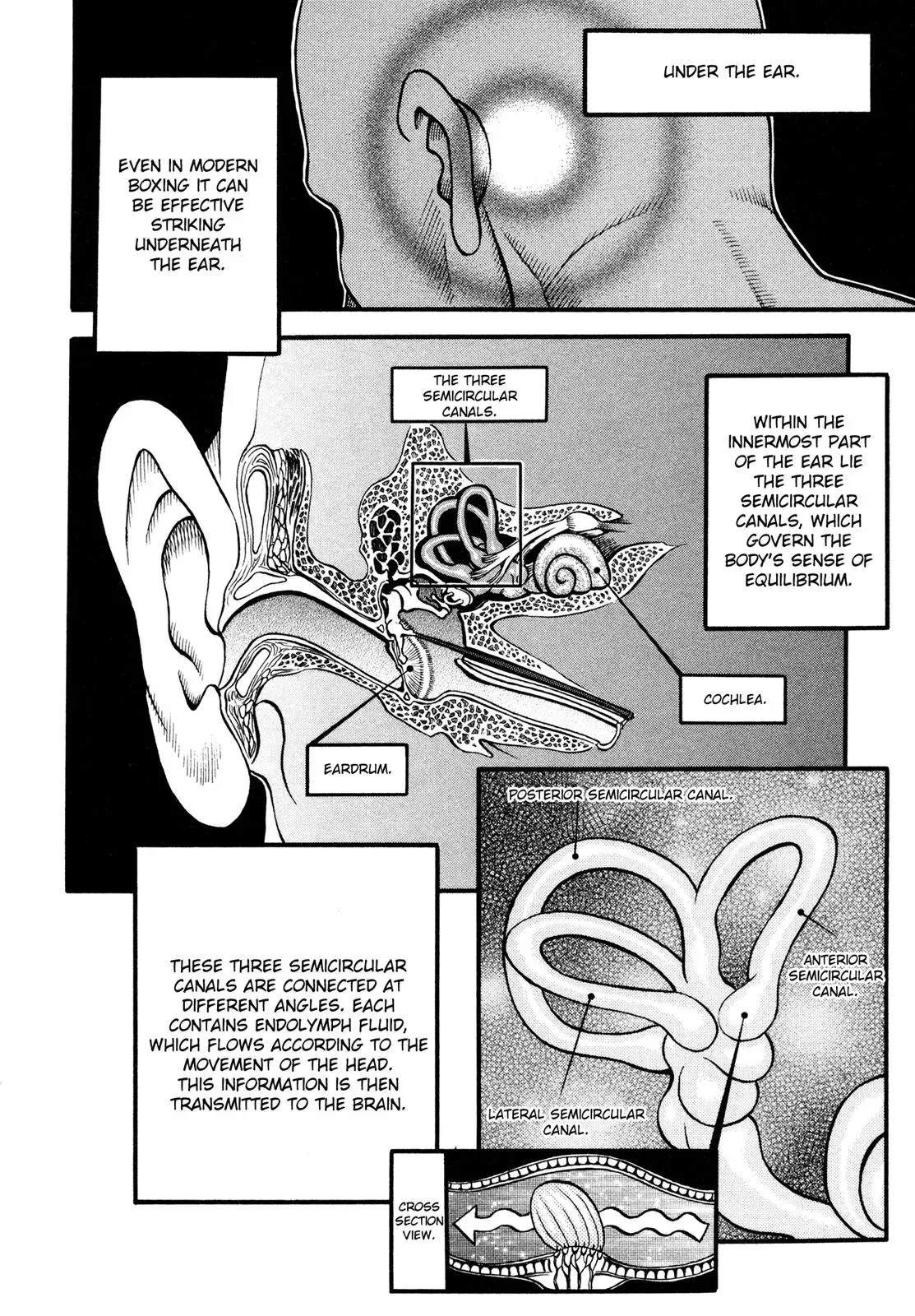 Read Cestus chapter 44 image 16 on Lezhin