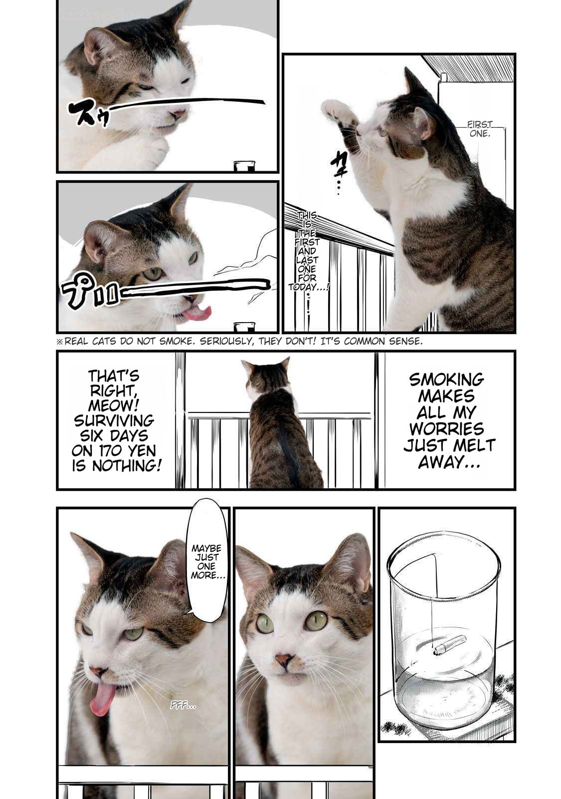 Read Chainsmoker Cat chapter 141.1 image 1 on Lezhin