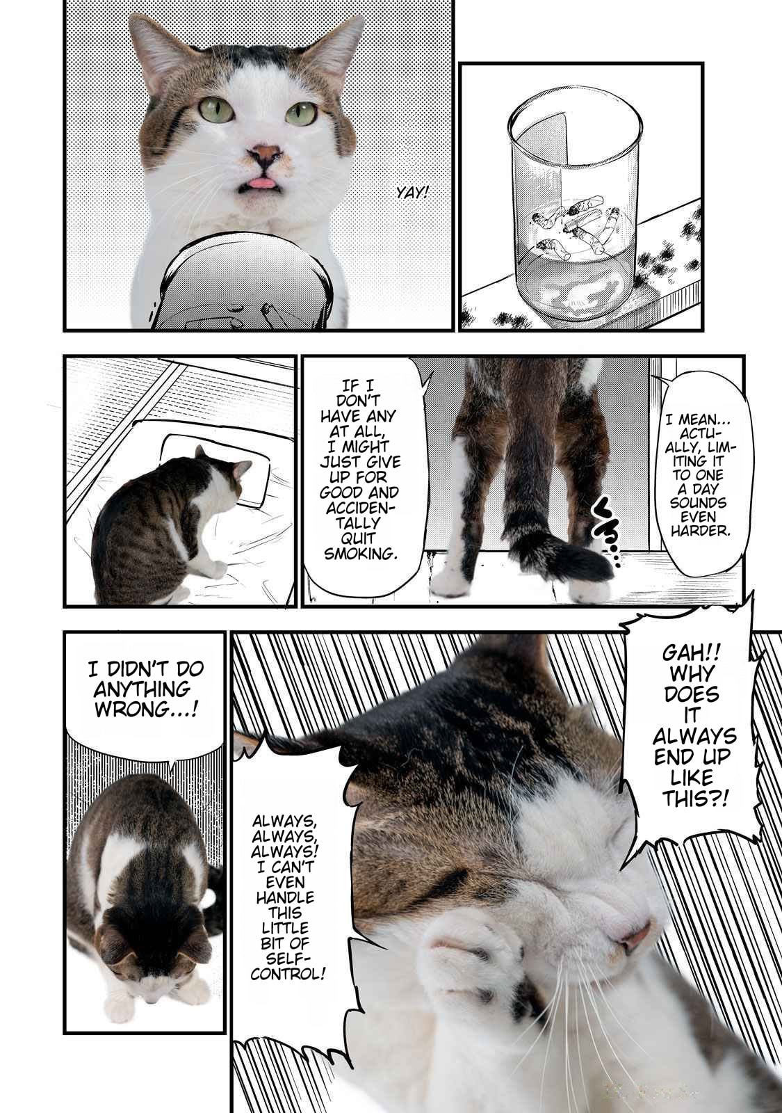 Read Chainsmoker Cat chapter 141.1 image 2 on Lezhin