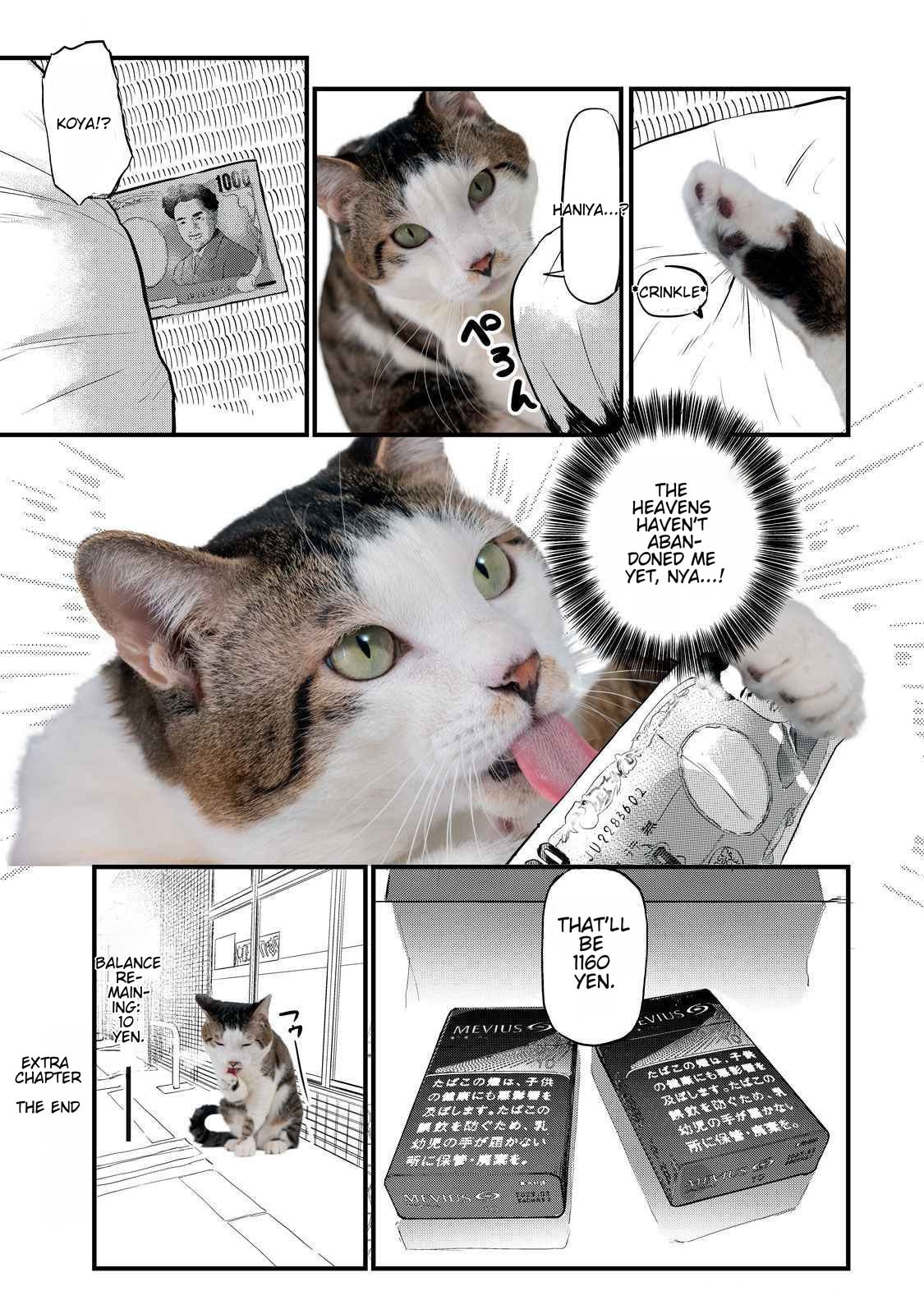 Read Chainsmoker Cat chapter 141.1 image 3 on Lezhin