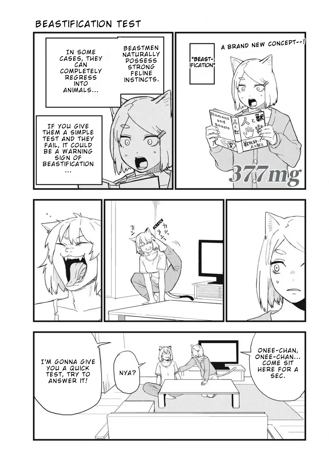 Read Chainsmoker Cat chapter 377 image 0 on Lezhin