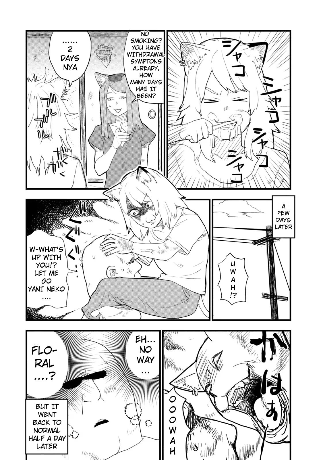 Read Chainsmoker Cat chapter 57 image 1 on Lezhin