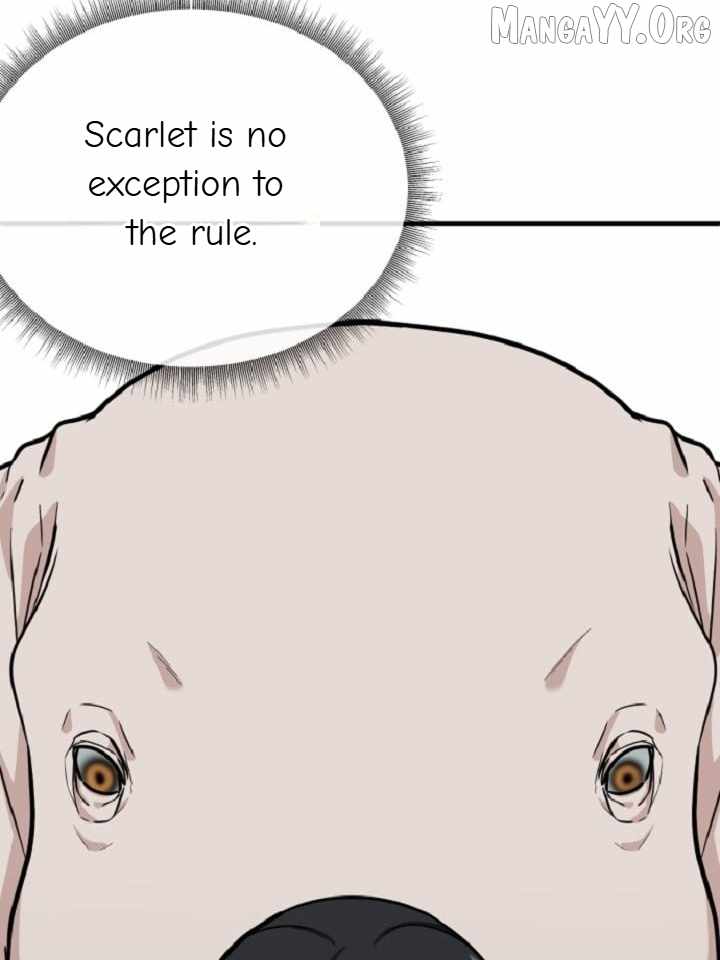 Read Change Me chapter 64 image 171 on Lezhin
