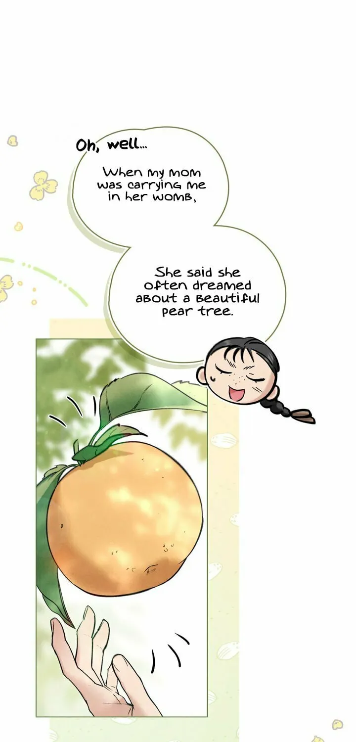 Chaotic Nights Chapter 48 page 5 - 
