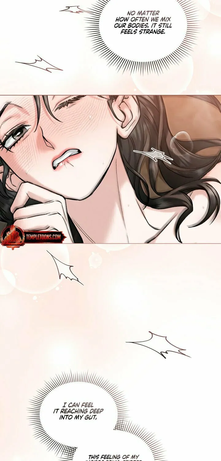 Chaotic Nights Chapter 62 page 5 - 
