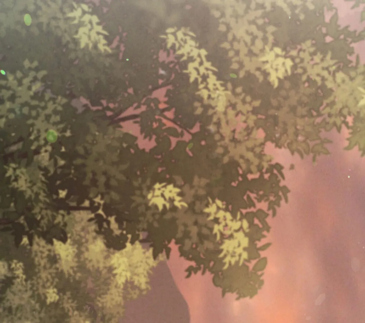 Chaotic Nights Chapter 78 page 59 - 
