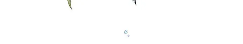 Charlotte’s Wheel Chapter 20 page 75 - 