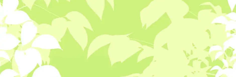 Charlotte’s Wheel Chapter 47 page 109 - 