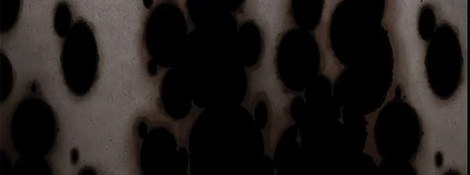 Charlotte’s Wheel Chapter 59.2 page 182 - 