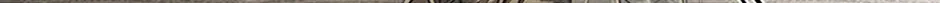 Charlotte’s Wheel Chapter 73 page 123 - 