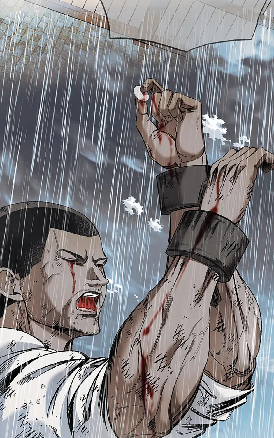 Charlotte’s Wheel Chapter 82 page 121 - 