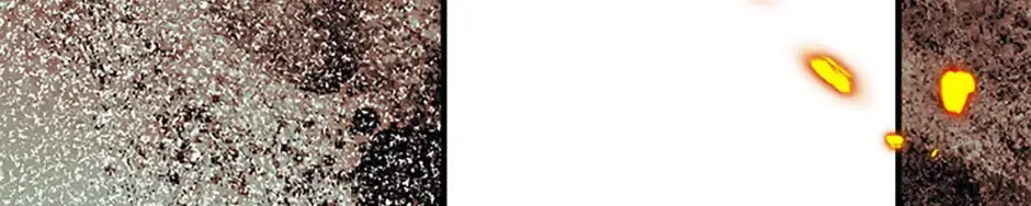 Charlotte’s Wheel Chapter 83 page 207 - 