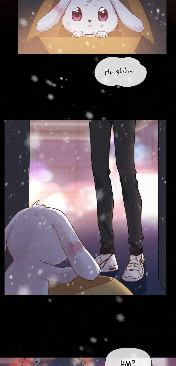 Read Chasing the Wave chapter 15.5 image 5 on Lezhin