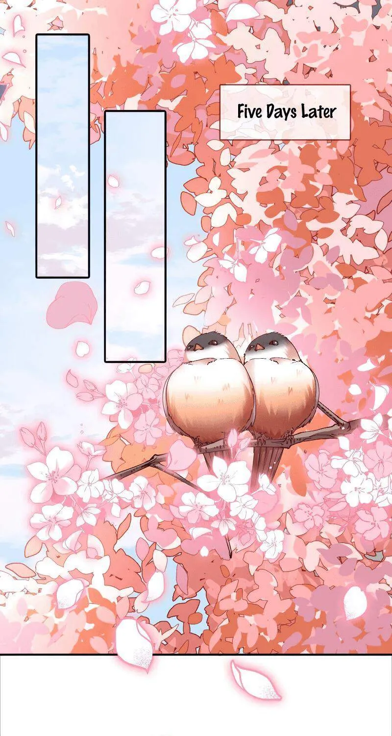 Read Cheating Men Must Die chapter 268 image 1 on Lezhin