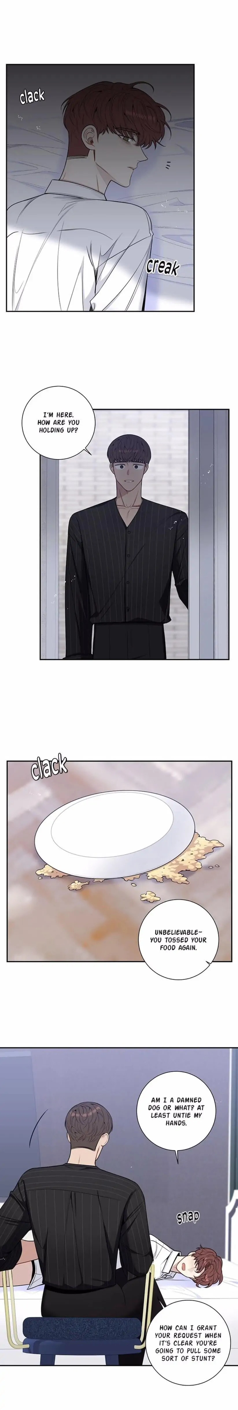 Cherry Blossoms After Winter Chapter 176 page 19 - 